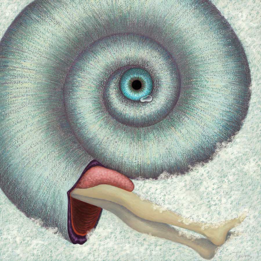 
一滴